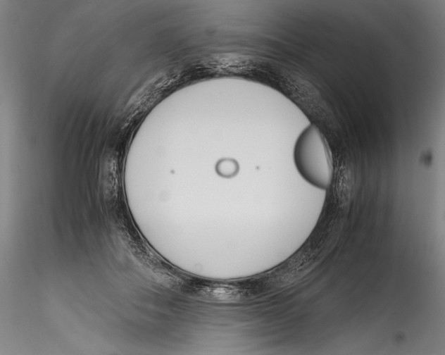 X0000115300506200911301516