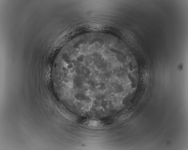 X0000115300507200911301516