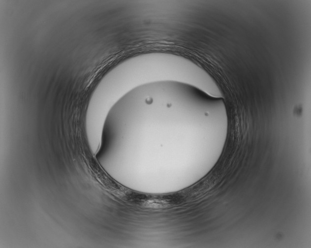 X0000115300508200911301516