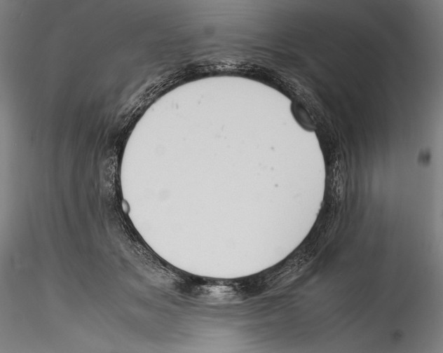 X0000115300509200911301516