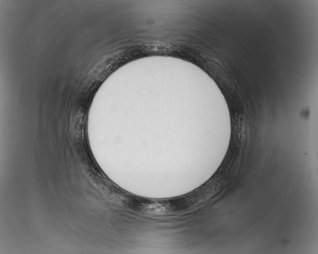 X0000115300511200911301516