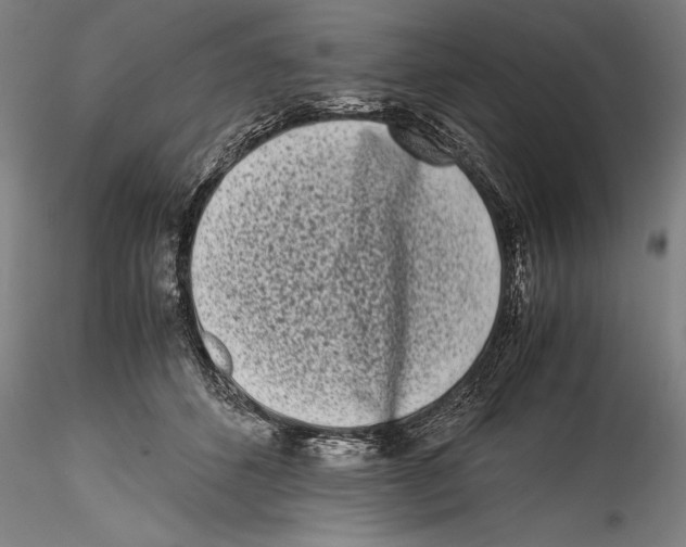 X0000115300512200911301516