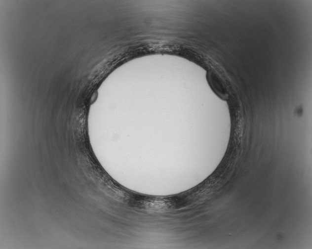 X0000115300513200911301516