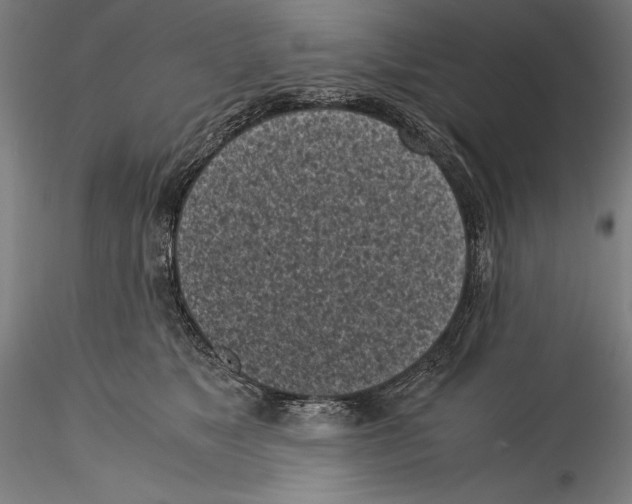 X0000115300517200911301516