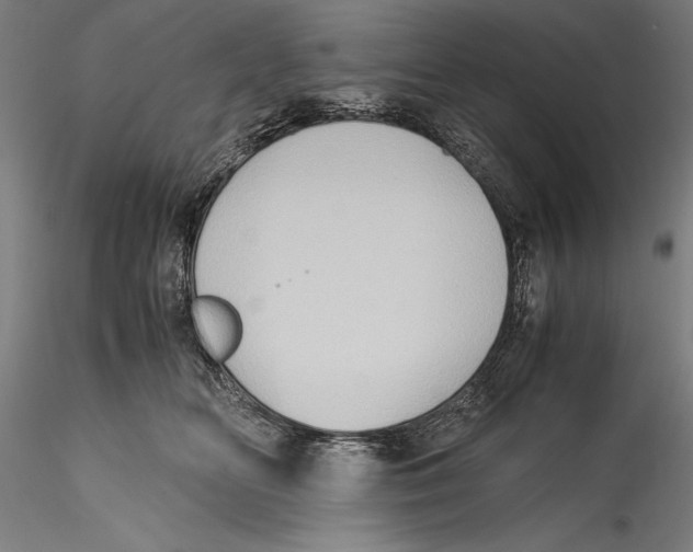 X0000115300518200911301516