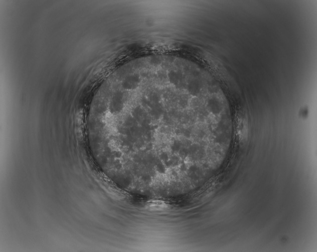 X0000115300519200911301516