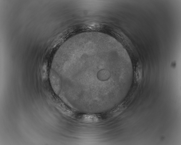 X0000115300520200911301516