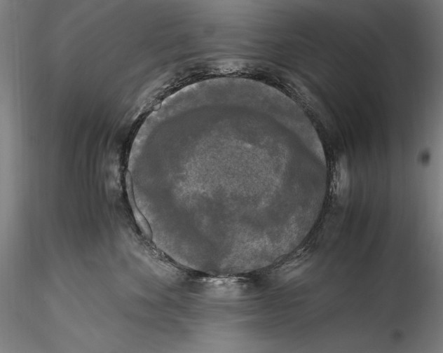 X0000115300524200911301516