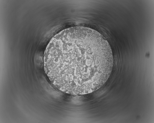 X0000115300527200911301516