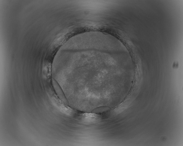 X0000115300528200911301516