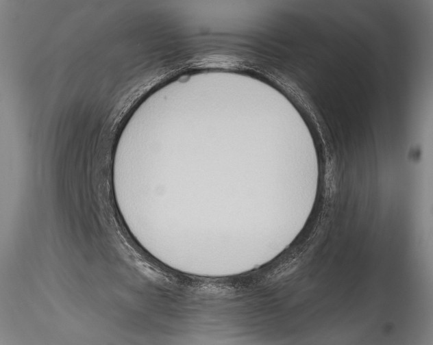 X0000115300529200911301515