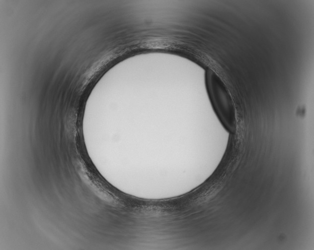 X0000115300530200911301515