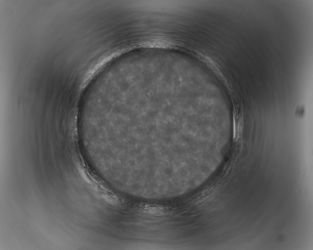 X0000115300531200911301515