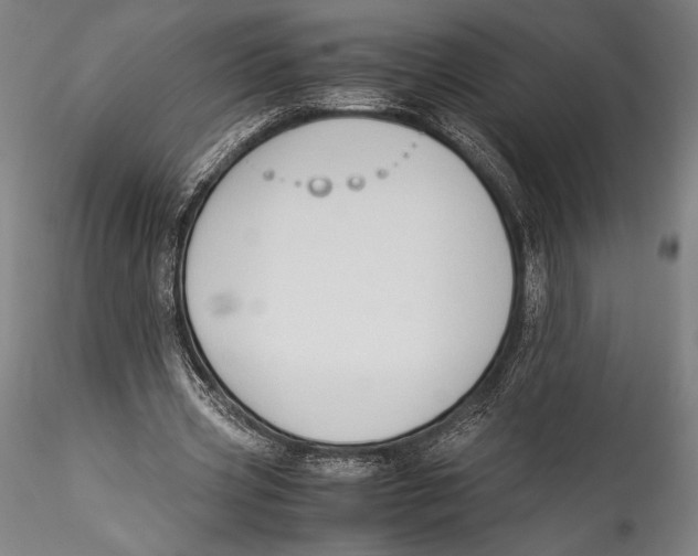 X0000115300533200911301515