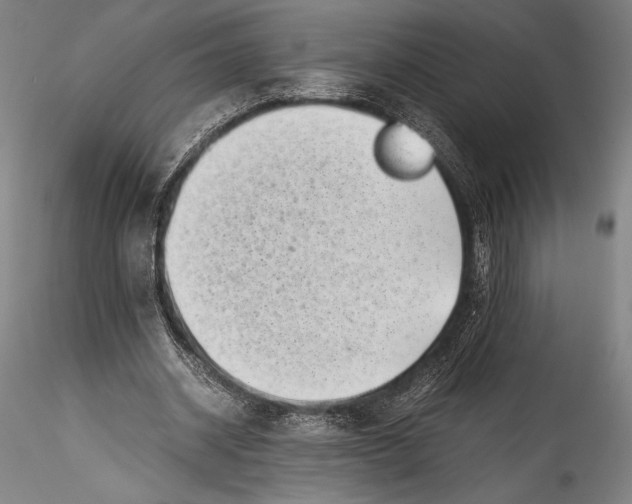 X0000115300534200911301515