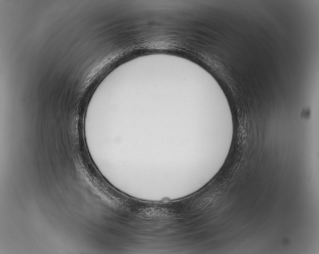 X0000115300535200911301515