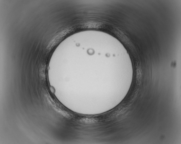 X0000115300537200911301515