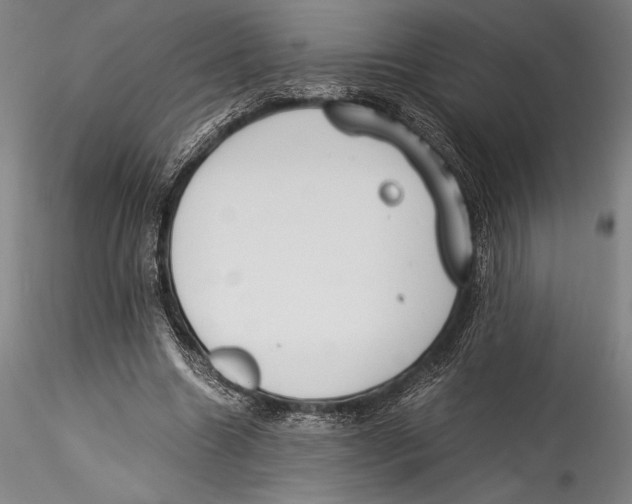 X0000115300538200911301515