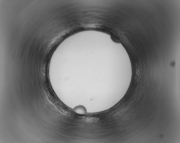 X0000115300539200911301515