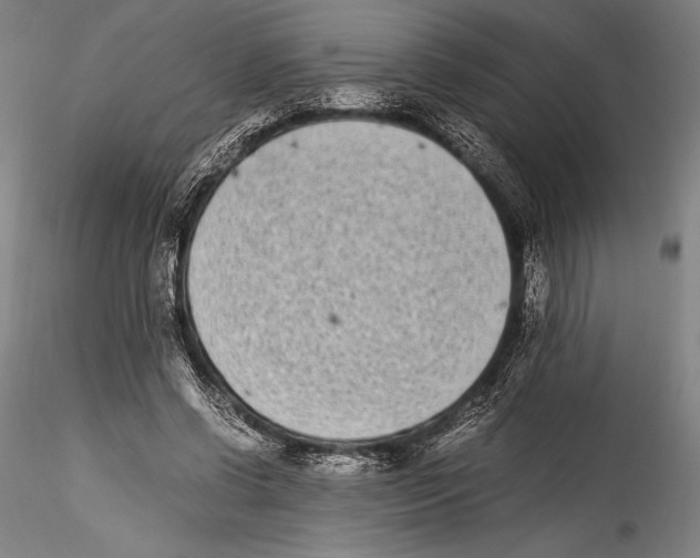 X0000115300542200911301515