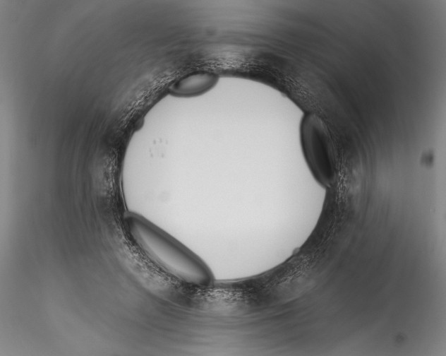 X0000115300546200911301516