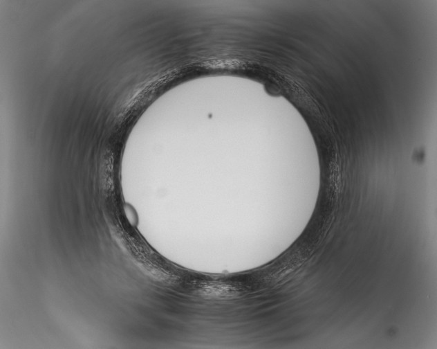 X0000115300547200911301516