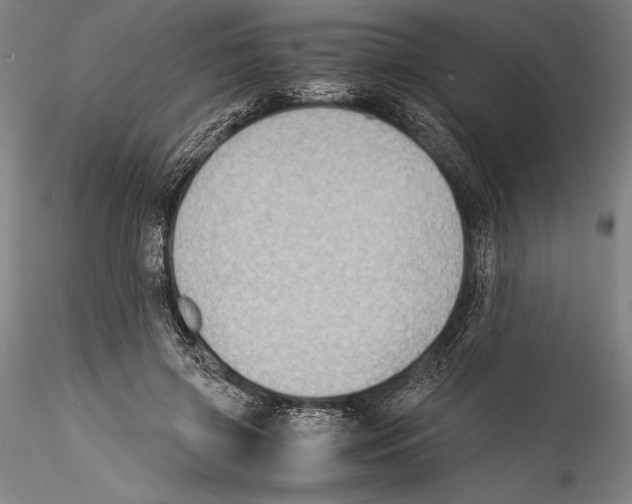 X0000115300549200911301516