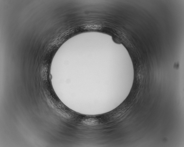 X0000115300551200911301516