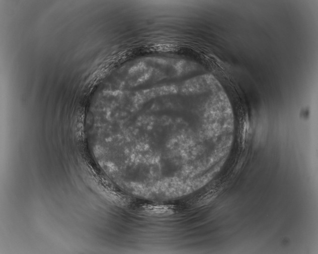 X0000115300553200911301516