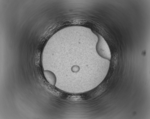 X0000115300554200911301516