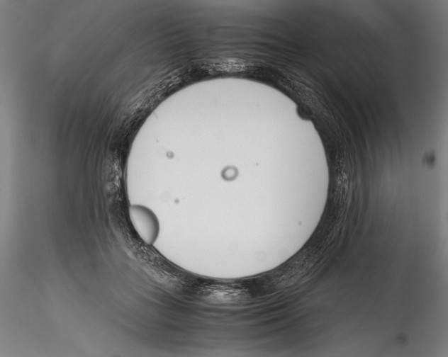 X0000115300555200911301516