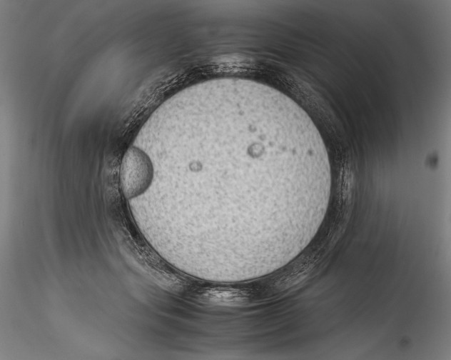 X0000115300557200911301516