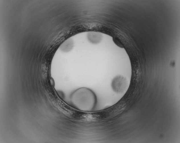 X0000115300558200911301516