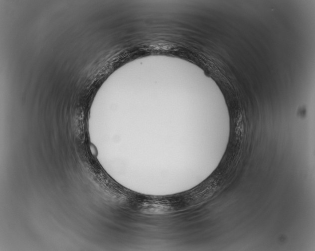 X0000115300559200911301516