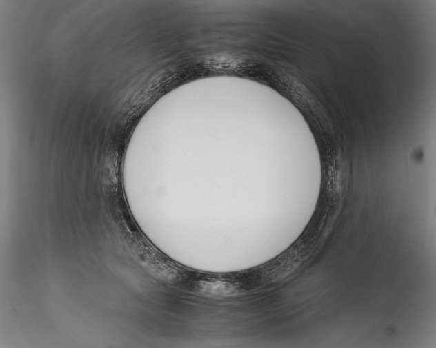 X0000115300561200911301516