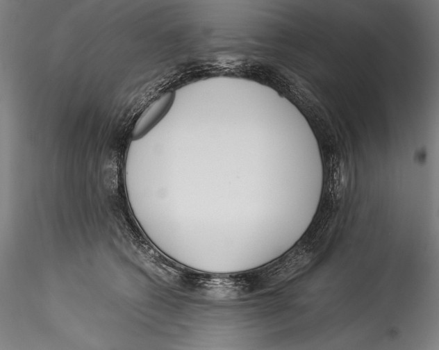 X0000115300562200911301516