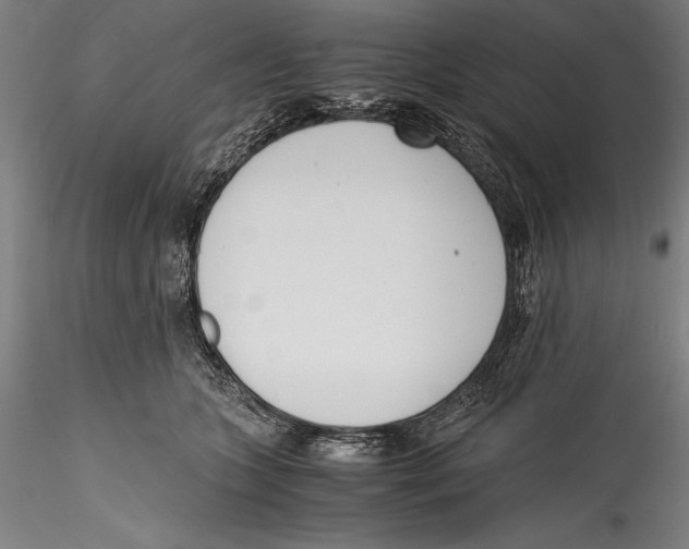 X0000115300563200911301516