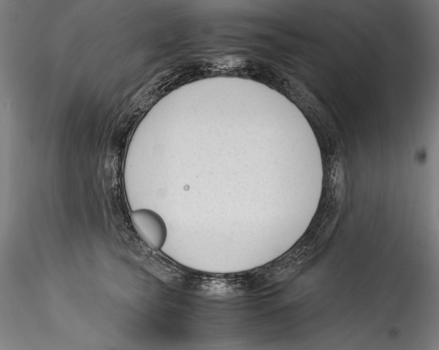 X0000115300565200911301516