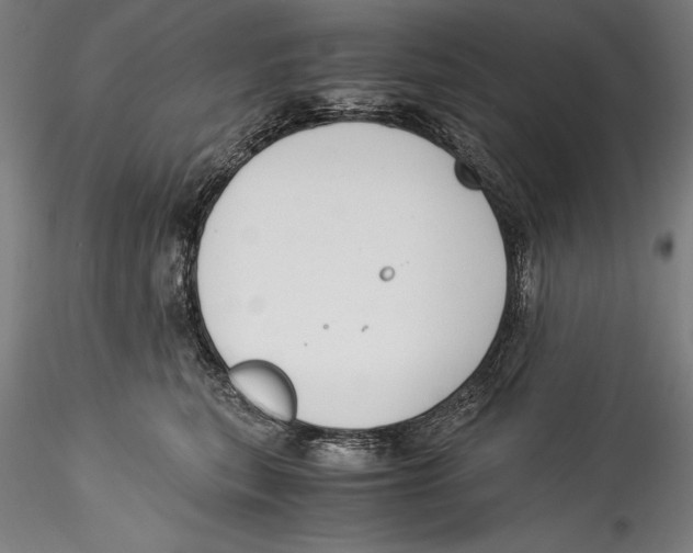 X0000115300567200911301516