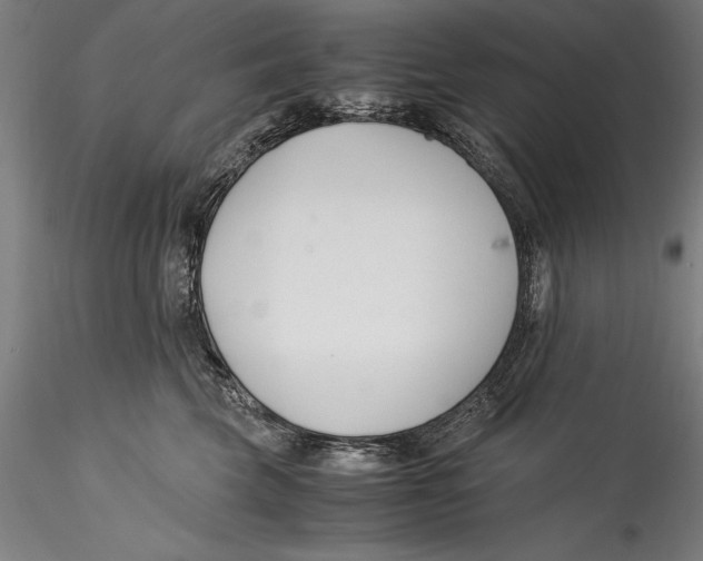 X0000115300569200911301516