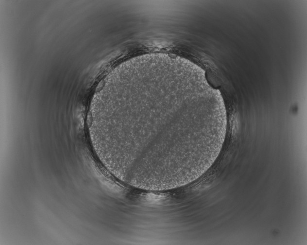 X0000115300570200911301516