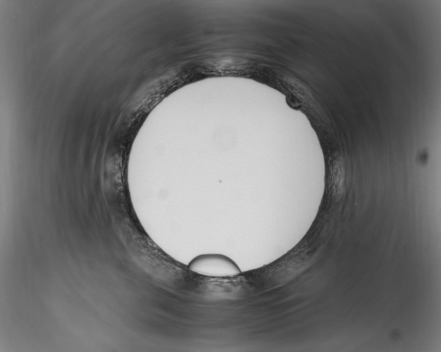 X0000115300571200911301516