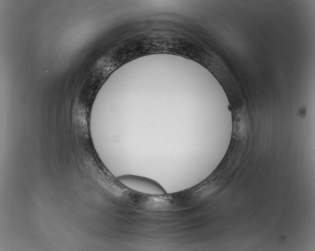 X0000115300573200911301516