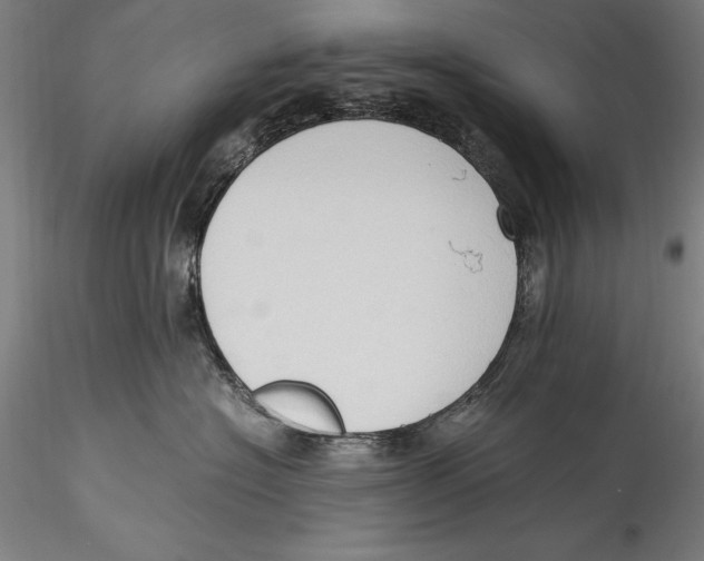 X0000115300574200911301516