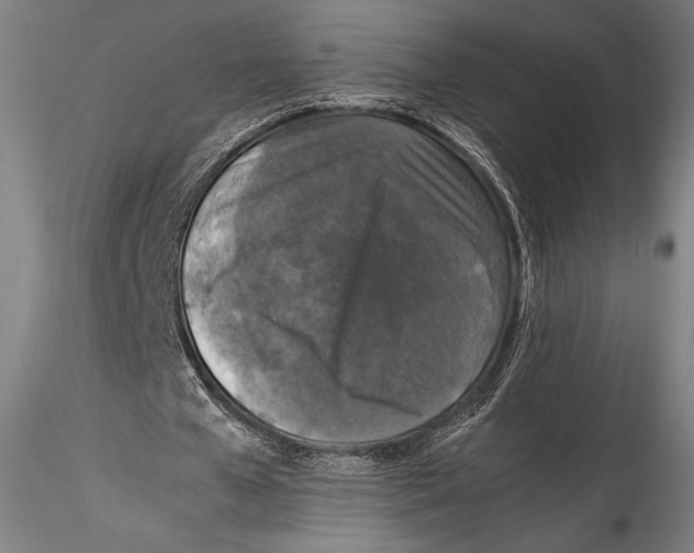 X0000115300577200911301515