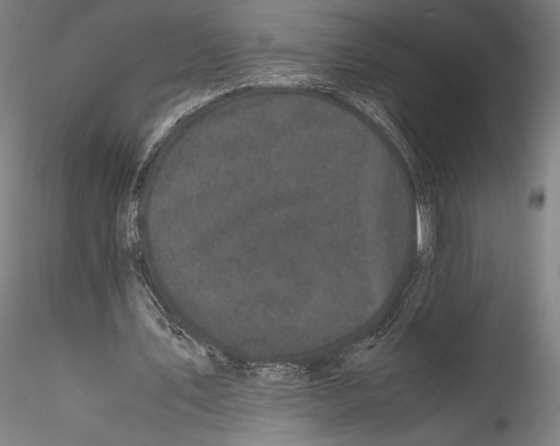 X0000115300579200911301515