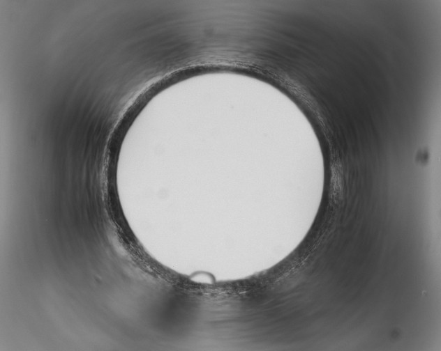 X0000115300580200911301515