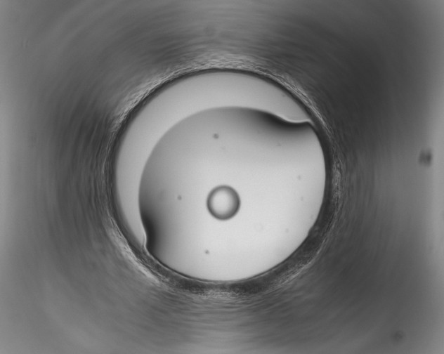 X0000115300581200911301515