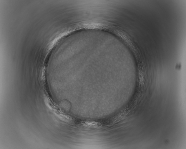 X0000115300583200911301515