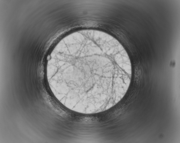 X0000115300584200911301515